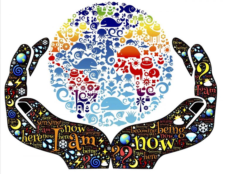 Projet de CleanWalk (sondage sur Pronote)