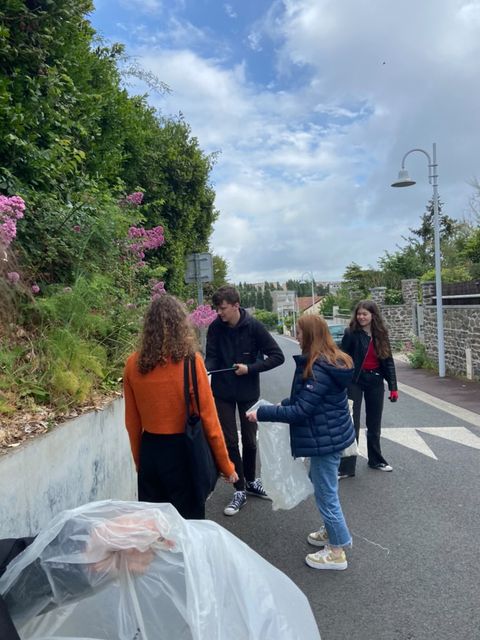 Image de la galerie cleanwalk2022