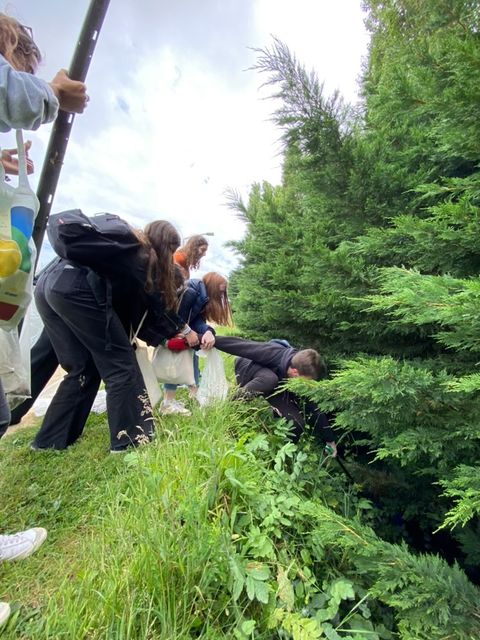 Image de la galerie cleanwalk2022