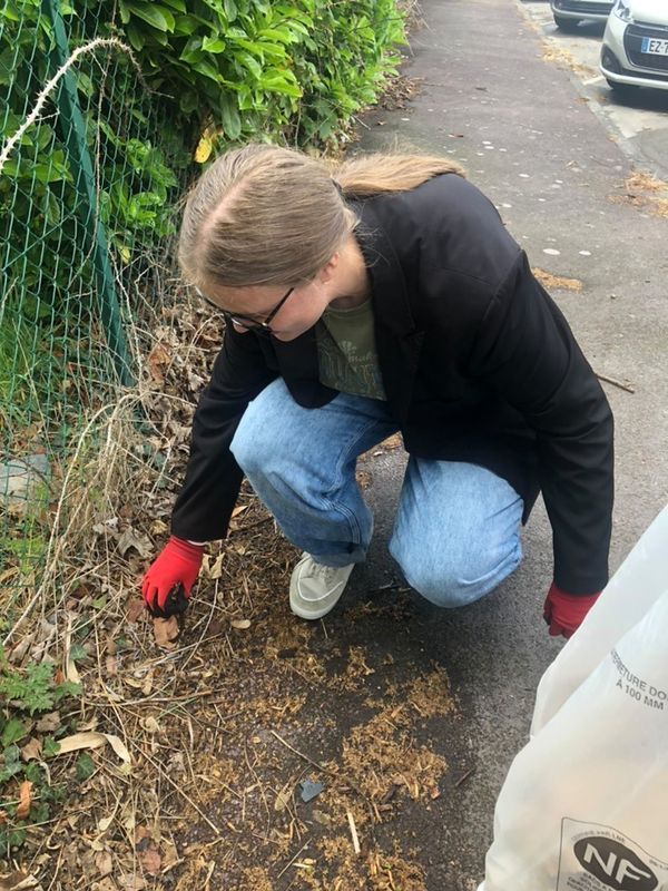 Image de la galerie cleanwalk2022