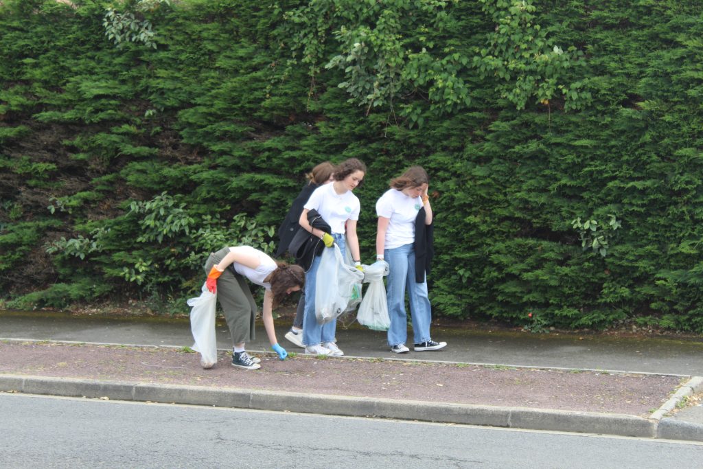 Image de la galerie cleanwalk2022