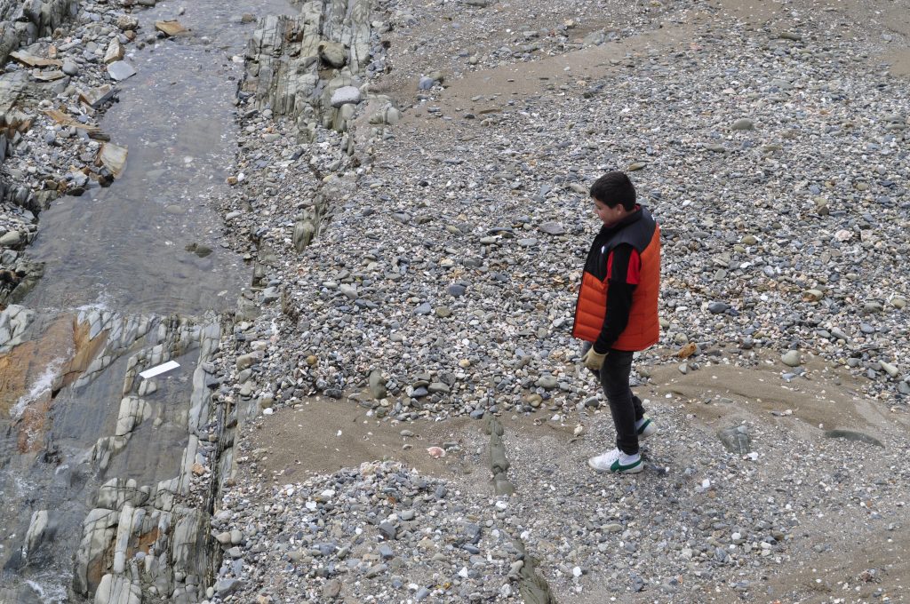 Image de la galerie cleanwalk2022