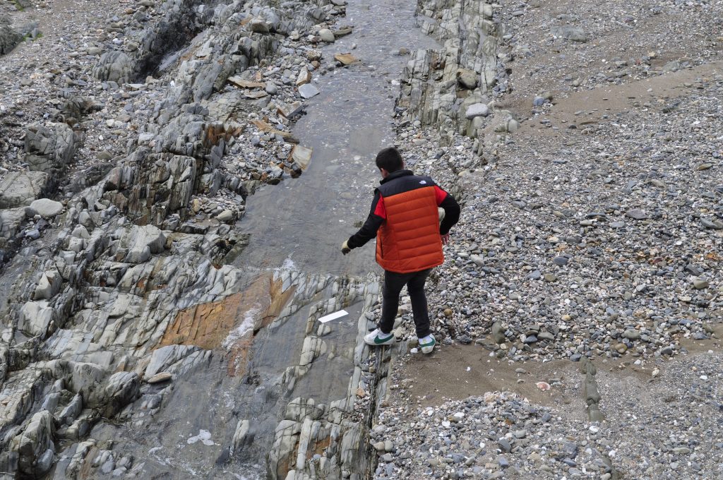 Image de la galerie cleanwalk2022